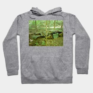 Decay Hoodie